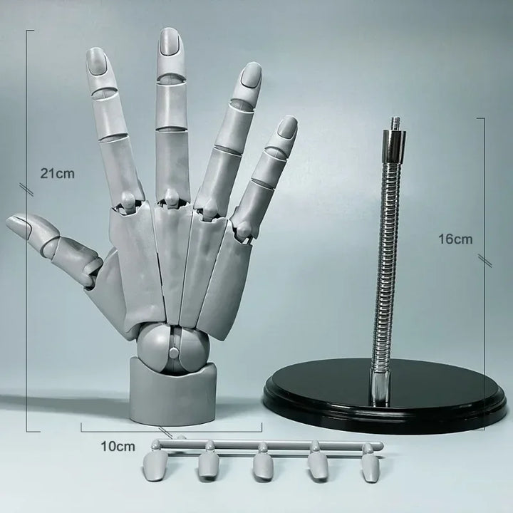 Lisslune | Multi-Pose Drawing Sculpting Art Hand Model