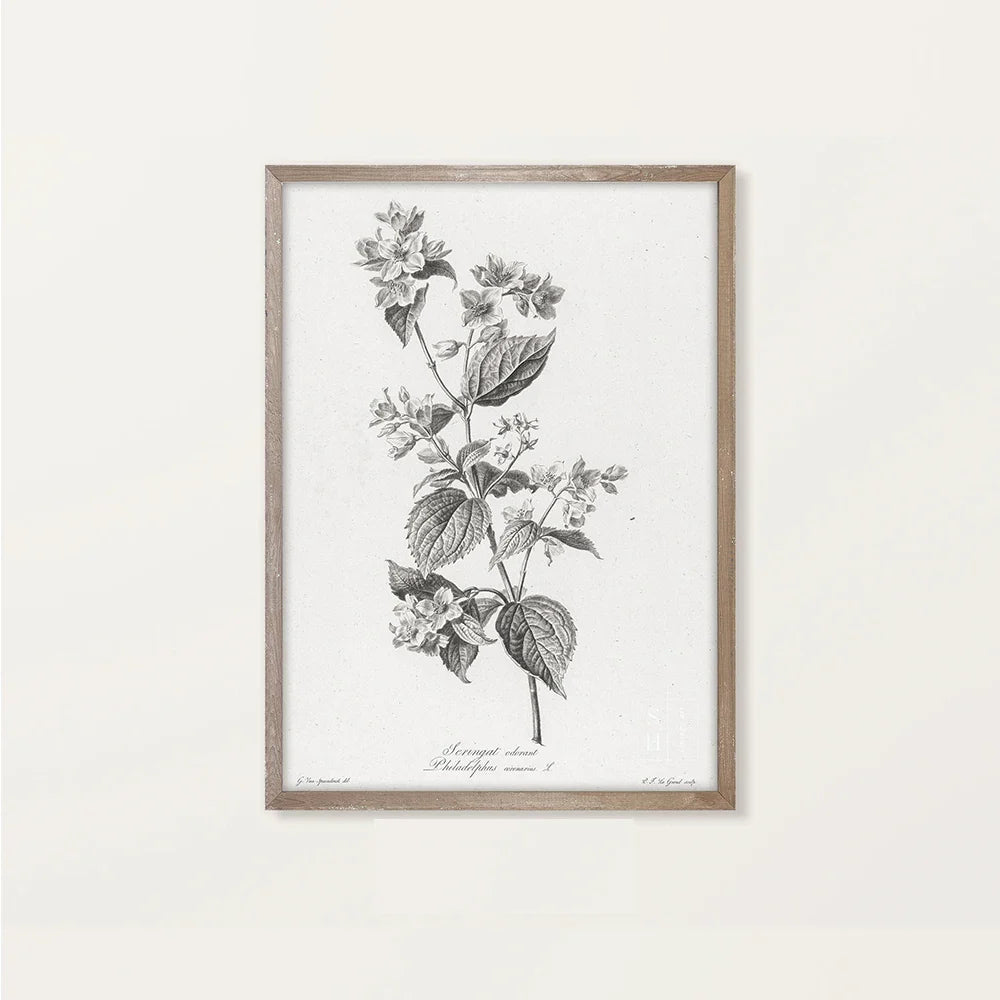 Lisslune | Landscape Canvas Poster