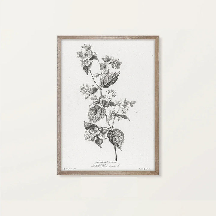 Lisslune | Landscape Canvas Poster