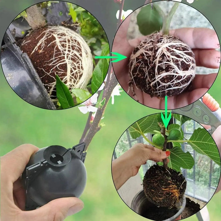 Lisslune | 10-Pack Reusable Plant Root Balls for Seamless Air Layering and Propagation