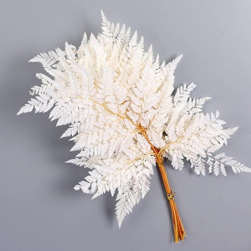 Lisslune | Alpine Serenity Fern Decor Kit: Bring the Essence of Nature Indoors