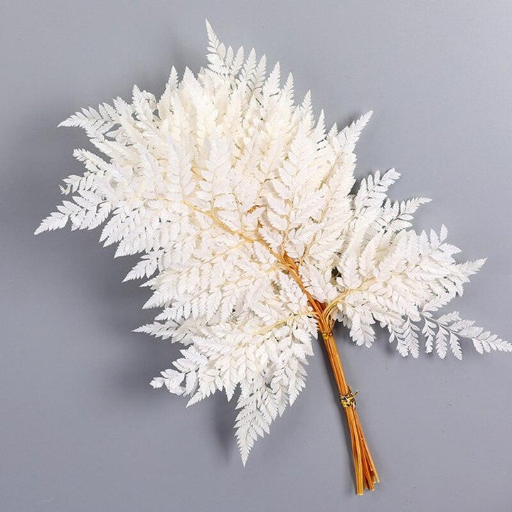 Lisslune | Alpine Serenity Fern Decor Kit: Bring the Essence of Nature Indoors