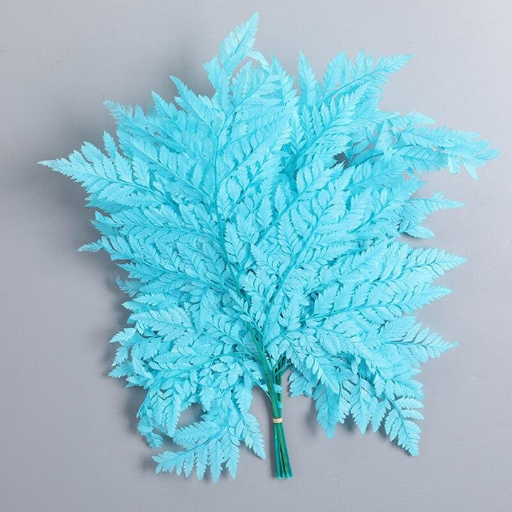 Lisslune | Alpine Serenity Fern Decor Kit: Bring the Essence of Nature Indoors