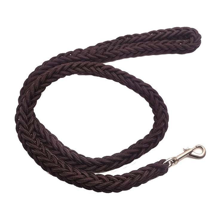 Lisslune | Braided short dog leash for large dogs
