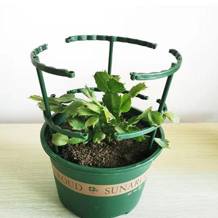 Lisslune | Adjustable Support Stakes for Flowering Plants
