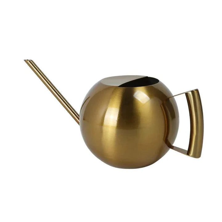 Lisslune | Stylish Stainless Steel Watering Can with Extended Spout - Perfect for Plant Care