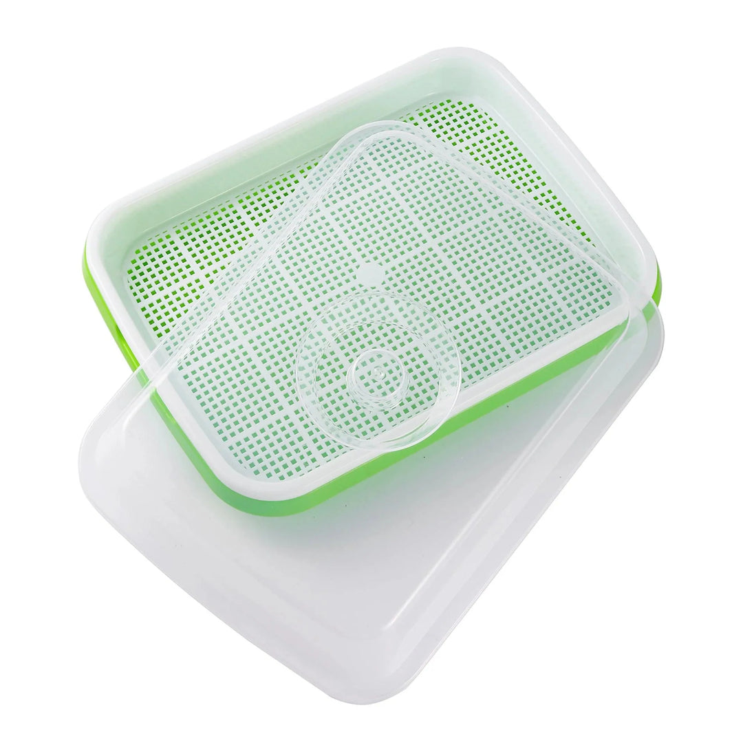Lisslune | Sustainable Home Sprout Growth Kit - Simple Green & White Seed Tray Solution
