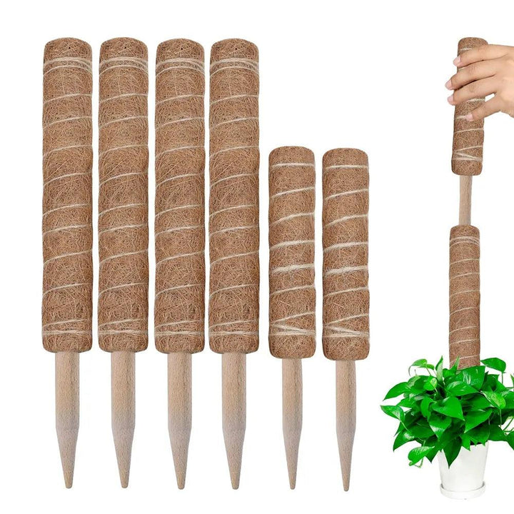 Lisslune | Vertical Garden Climbing Support Kit - Eco-Friendly Growth Solution for Indoor Plants