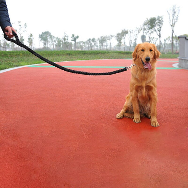 Lisslune | Braided short dog leash for large dogs
