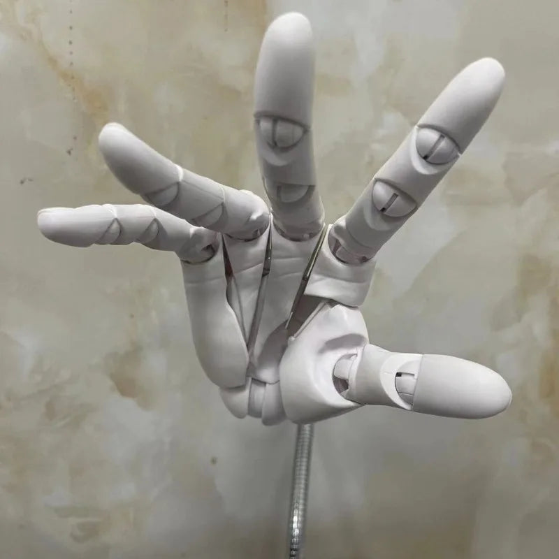 Lisslune | Multi-Pose Drawing Sculpting Art Hand Model