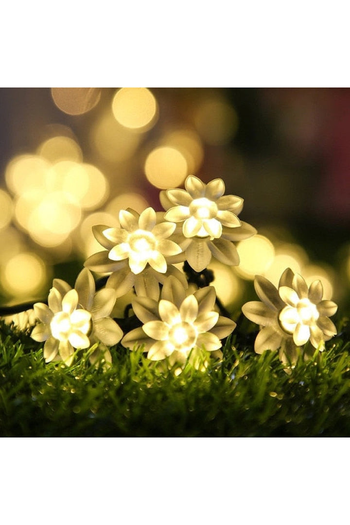 Lisslune | Solar Blossom String Lights
