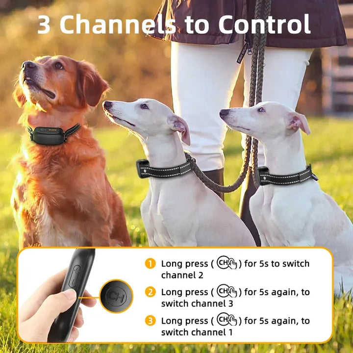 Lisslune | ProTrain – Rechargeable Waterproof Dog Training Collar with Remote