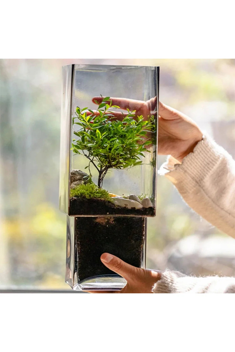 Lisslune | Wood Plant Pot