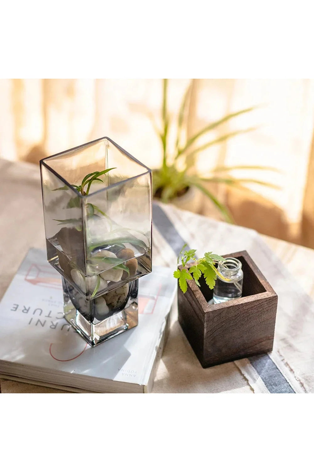 Lisslune | Wood Plant Pot