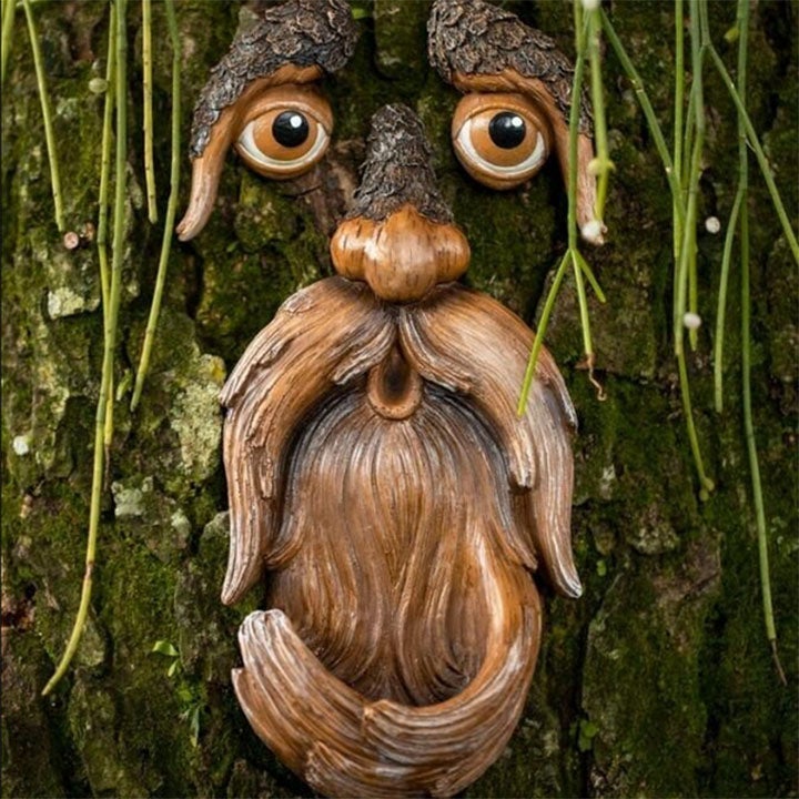 Lisslune | Eyes of Nature: Tree Face Bird Feeder Station