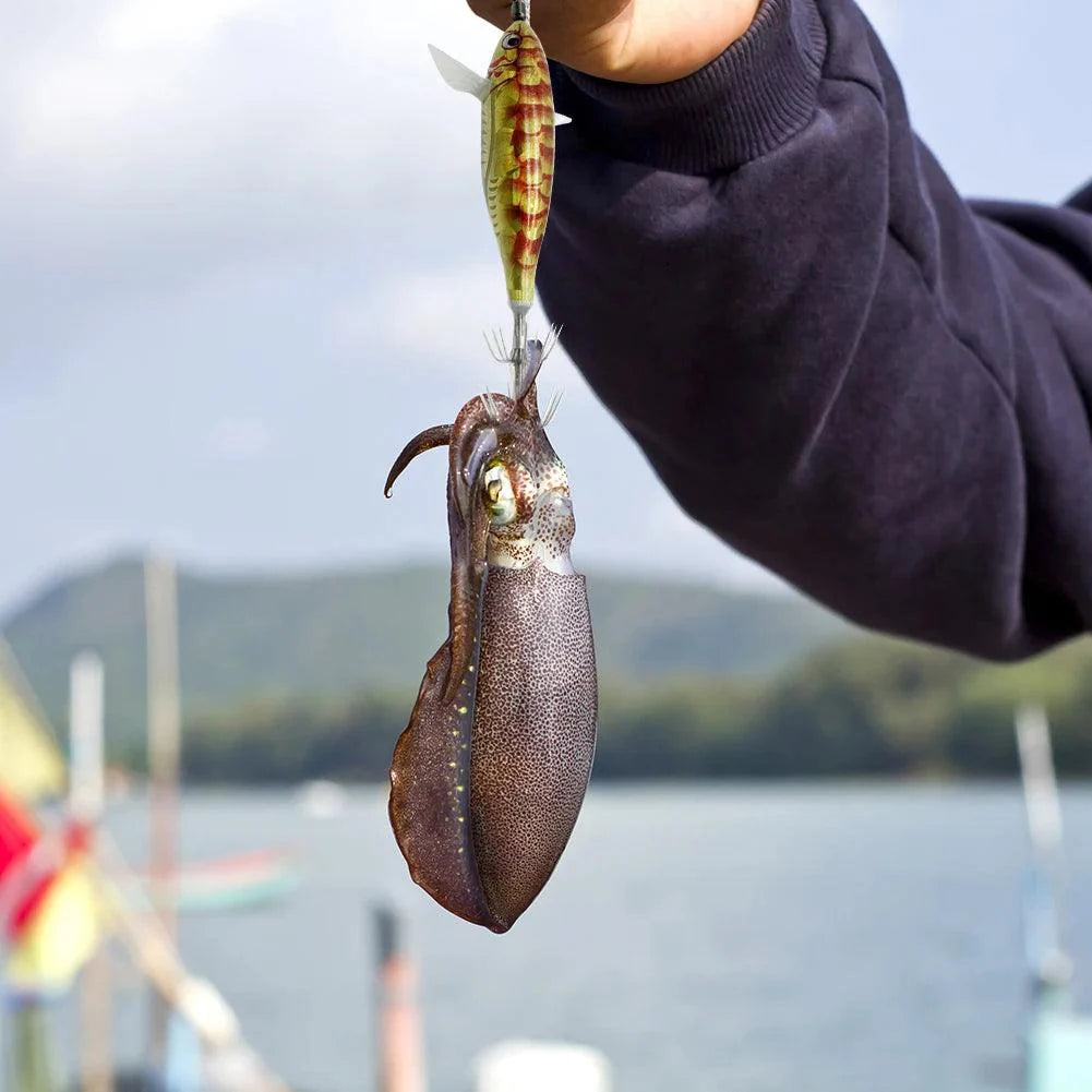 Lisslune | Luminous Laser Egi Lure: Ultimate Tool for Squid Fishing