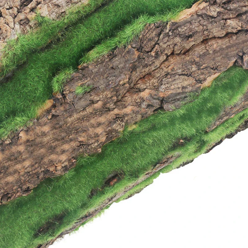 Lisslune | DIY Wall Decoration Green Plant Bark