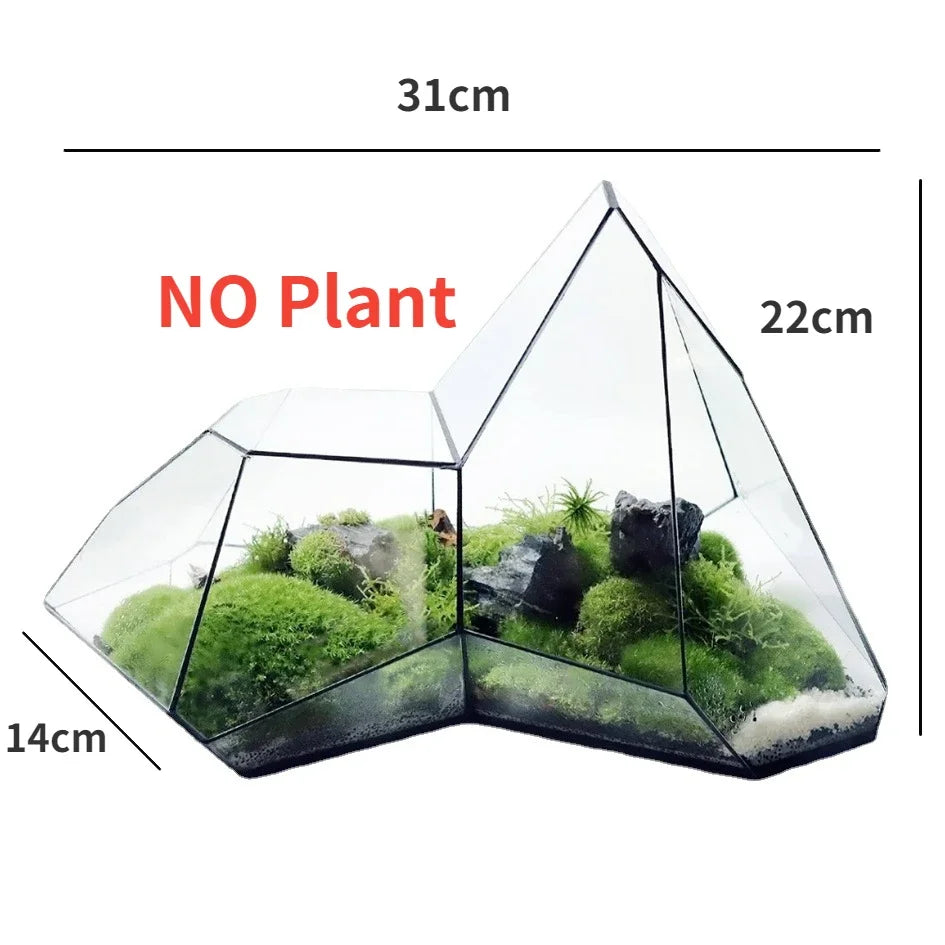 Lisslune | Geometric Glass Moss Planter Terrarium Vase