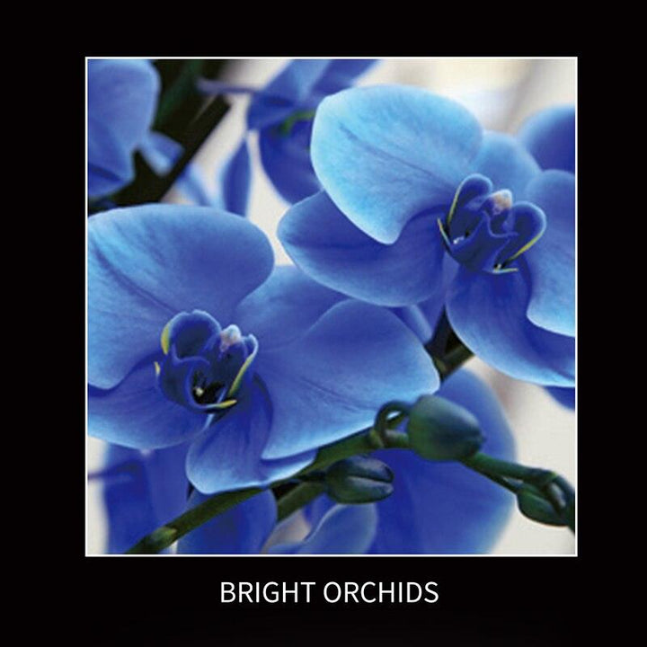 Lisslune | DIY Elegant Blue Phalaenopsis Flower Craft Kit: Create your own impressive home accessory