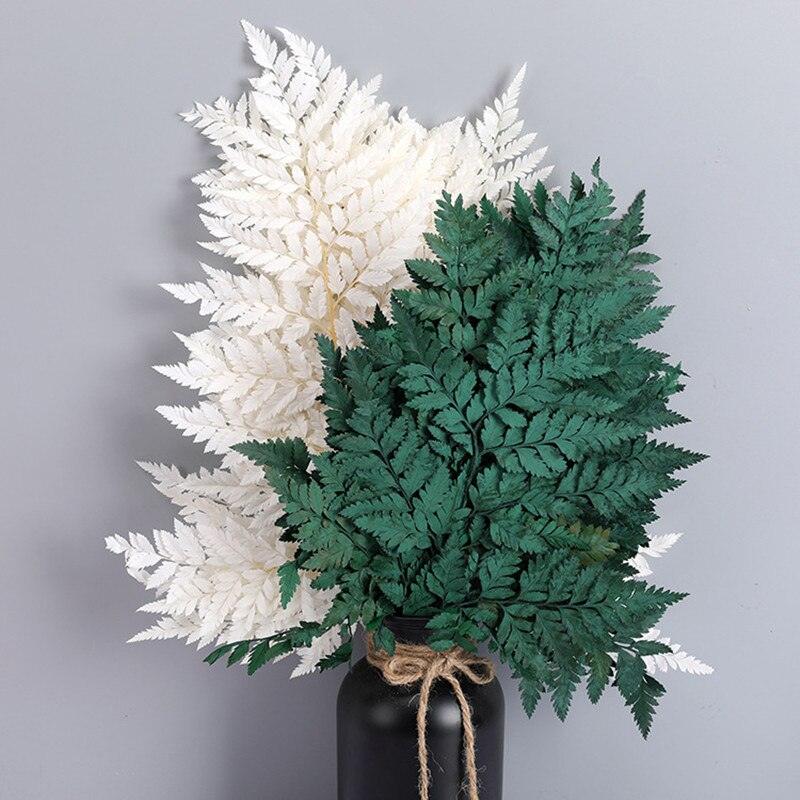 Lisslune | Alpine Serenity Fern Decor Kit: Bring the Essence of Nature Indoors
