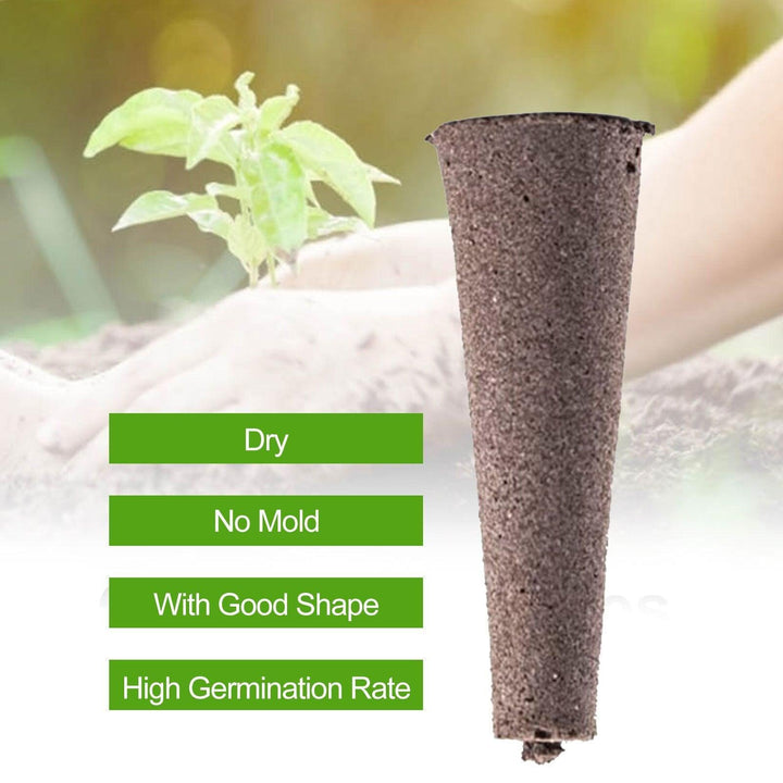 Lisslune | Carrot-Boosting Hydroponic Seedling Pods for Easy Gardening