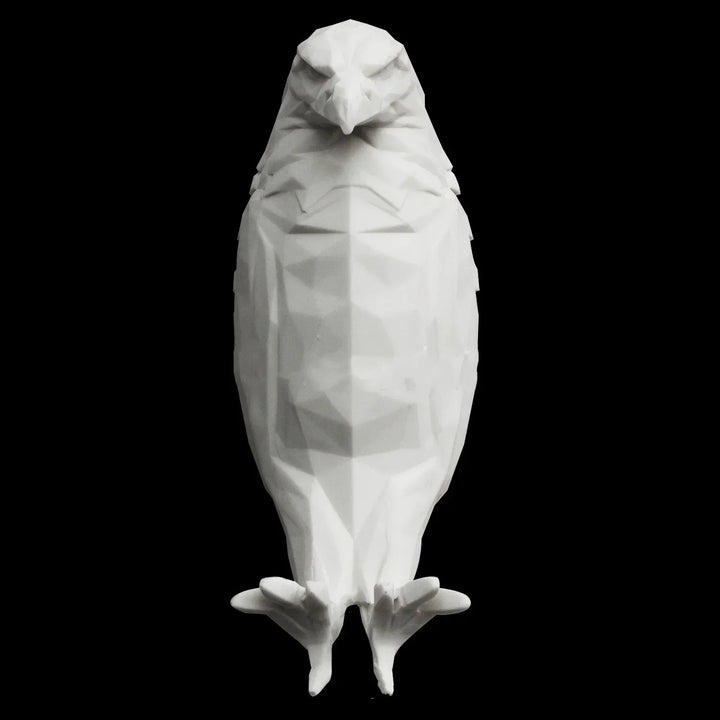 Lisslune | 3D Eagle Wall Projection Lamp