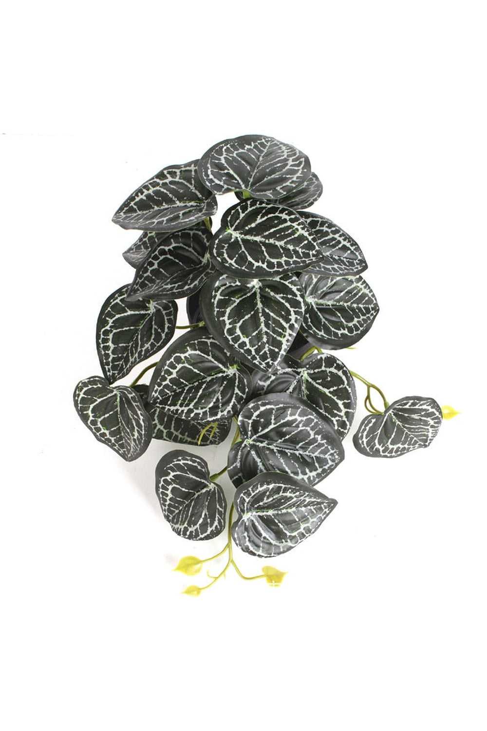 Lisslune | green grapevine wall decoration
