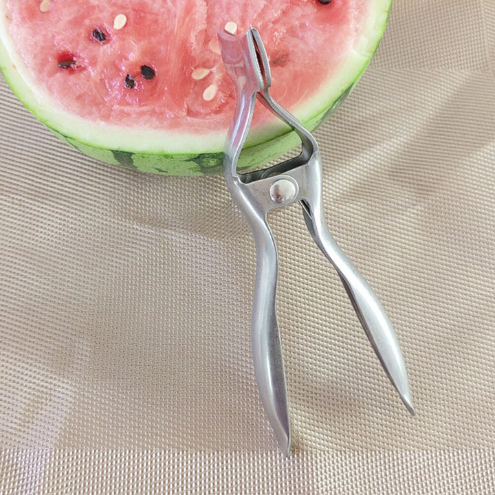 Lisslune | Stainless Steel Watermelon Cut in Half Tool
