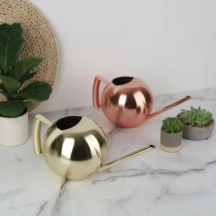Lisslune | Stylish Stainless Steel Watering Can with Extended Spout - Perfect for Plant Care