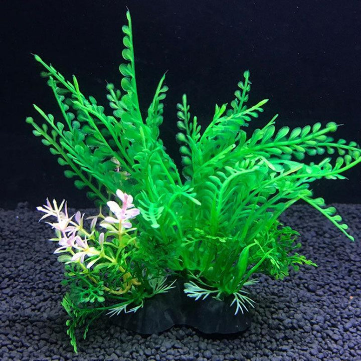 Lisslune | Aquatic Paradise: 12 Unique Plant Varieties for Lively Aquarium Landscapes