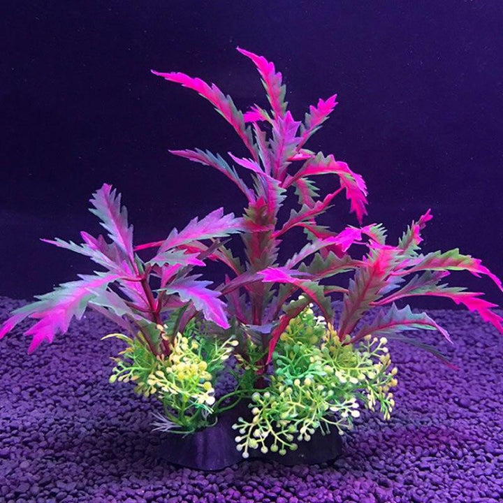Lisslune | Aquatic Paradise: 12 Unique Plant Varieties for Lively Aquarium Landscapes