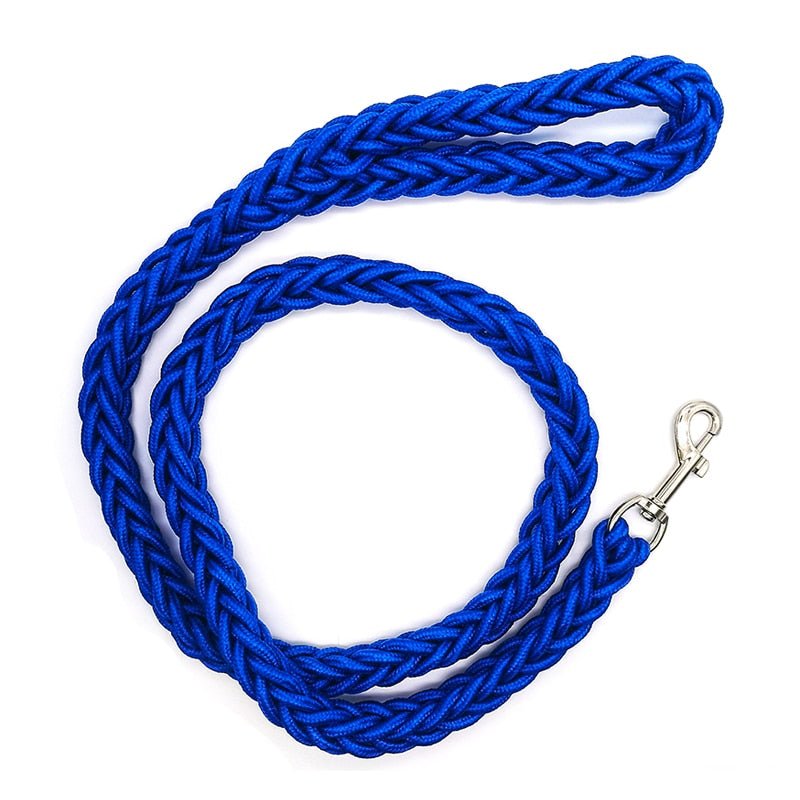 Lisslune | Braided short dog leash for large dogs