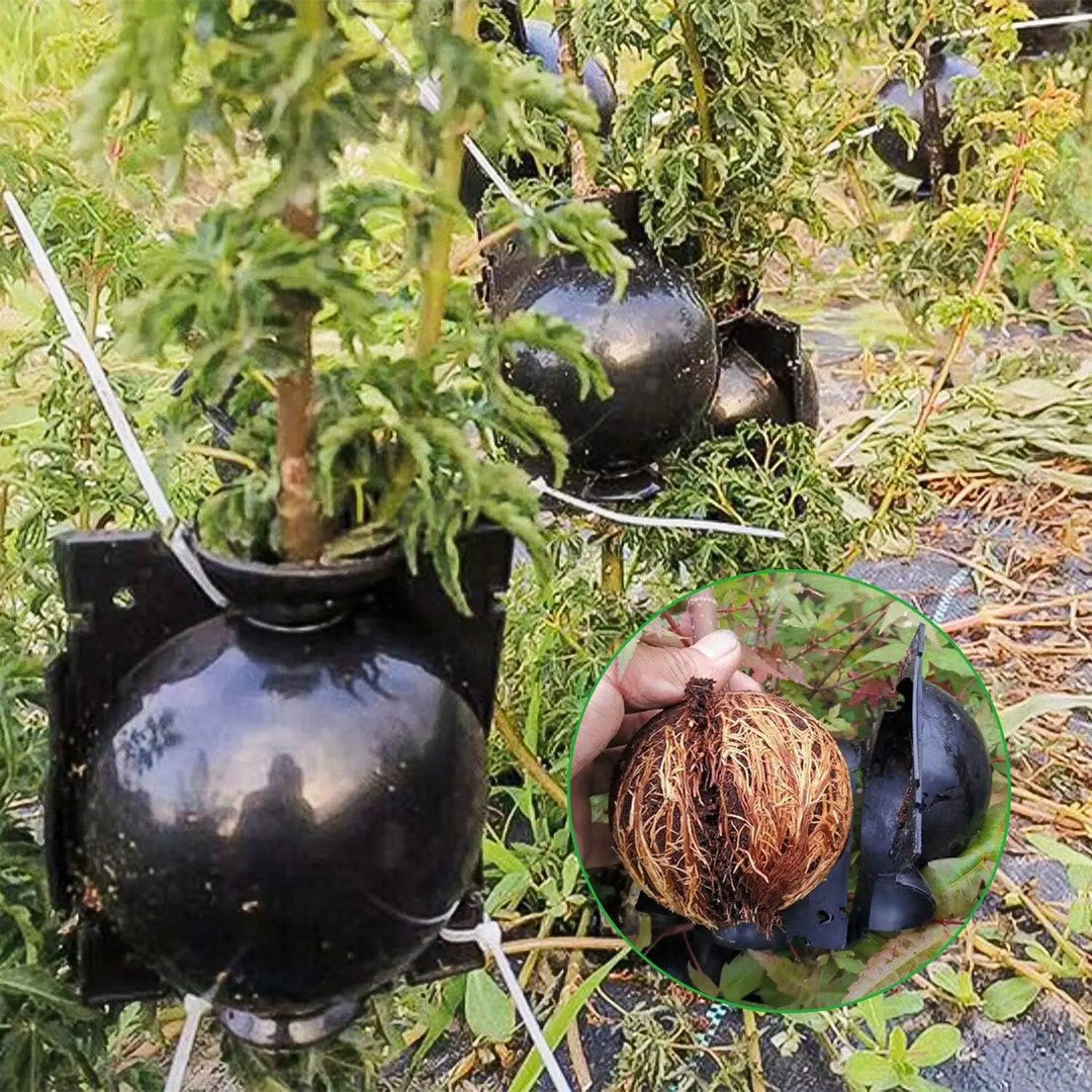 Lisslune | 10-Pack High Pressure Root Ball Kits for Easy Plant Propagation and Air Layering