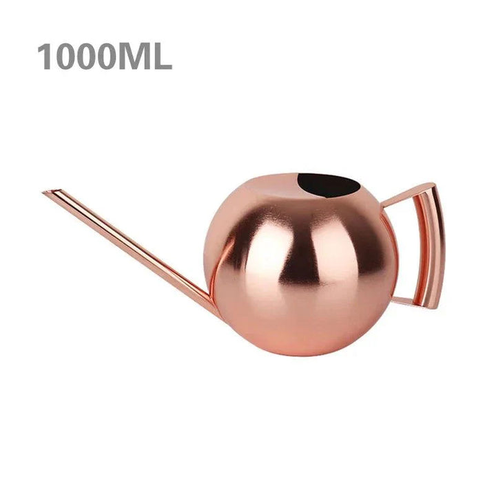 Lisslune | Stylish Stainless Steel Watering Can with Extended Spout - Perfect for Plant Care
