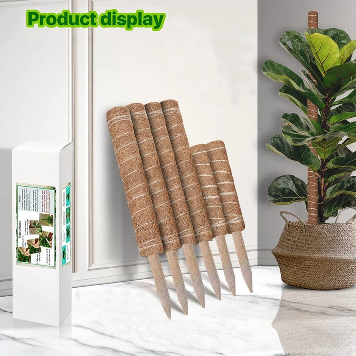 Lisslune | Vertical Garden Climbing Support Kit - Eco-Friendly Growth Solution for Indoor Plants