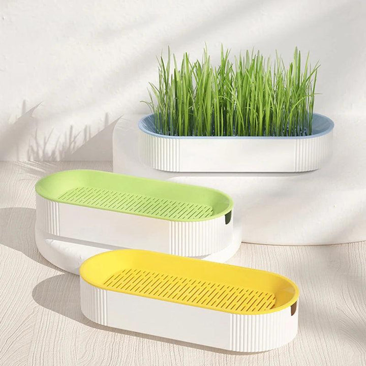 Lisslune | Indoor Hydroponic Cat Grass Kit - Fresh, Nutritious Treats for Your Feline Friend
