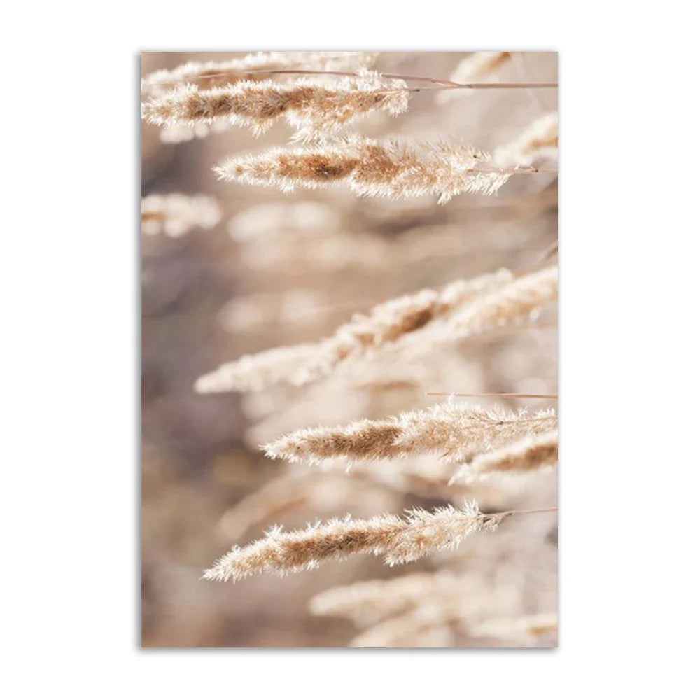 Lisslune | Academy Beach Canvas Poster