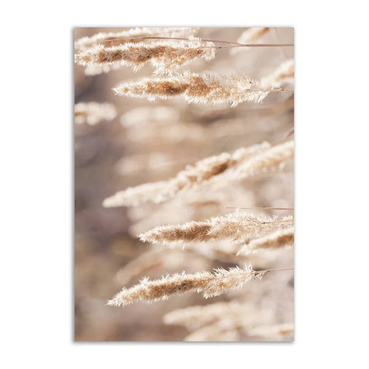 Lisslune | Academy Beach Canvas Poster