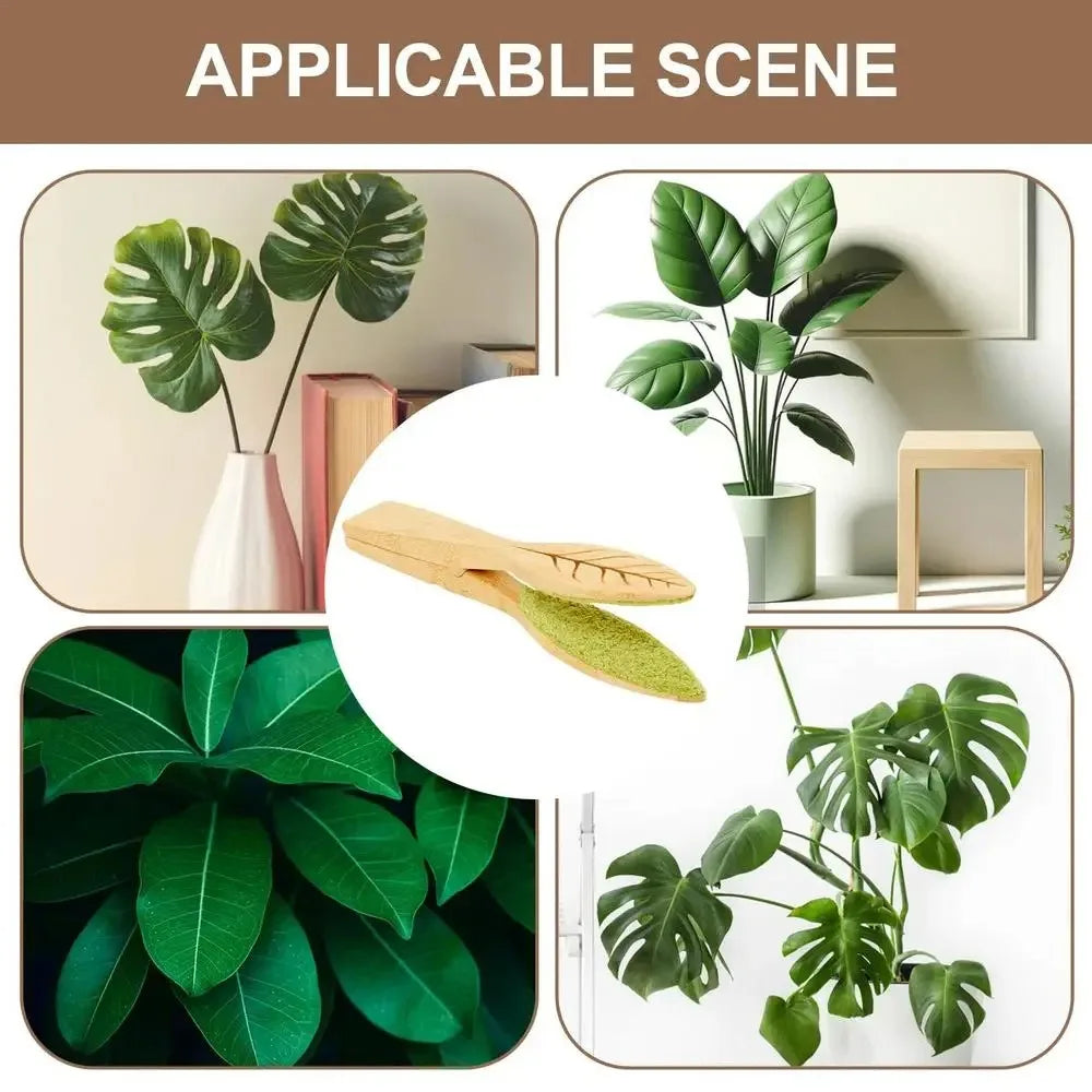 Lisslune | Plant leaf cleaning tongs made of wood for gentle leaf care