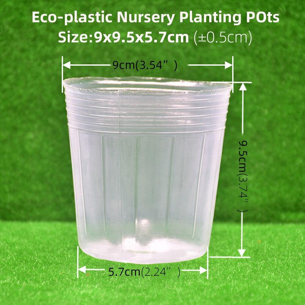 Lisslune | 100-piece clear plant growth cups: Successfully boost your garden