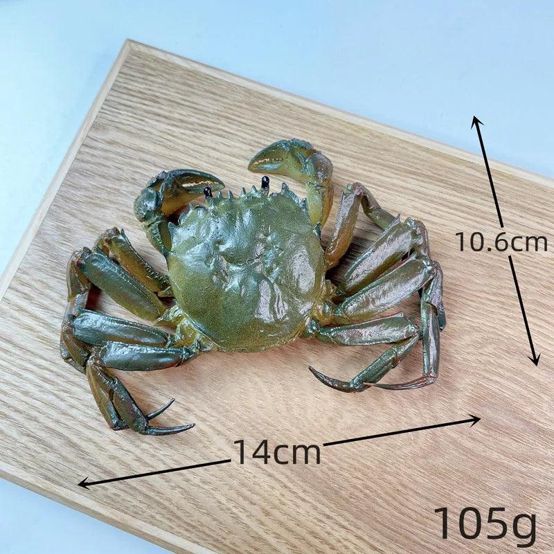Lisslune | Life-like Artificial Crab Display Model - Perfect Seafood Prop for Culinary Art, Photography and Home Aesthetics