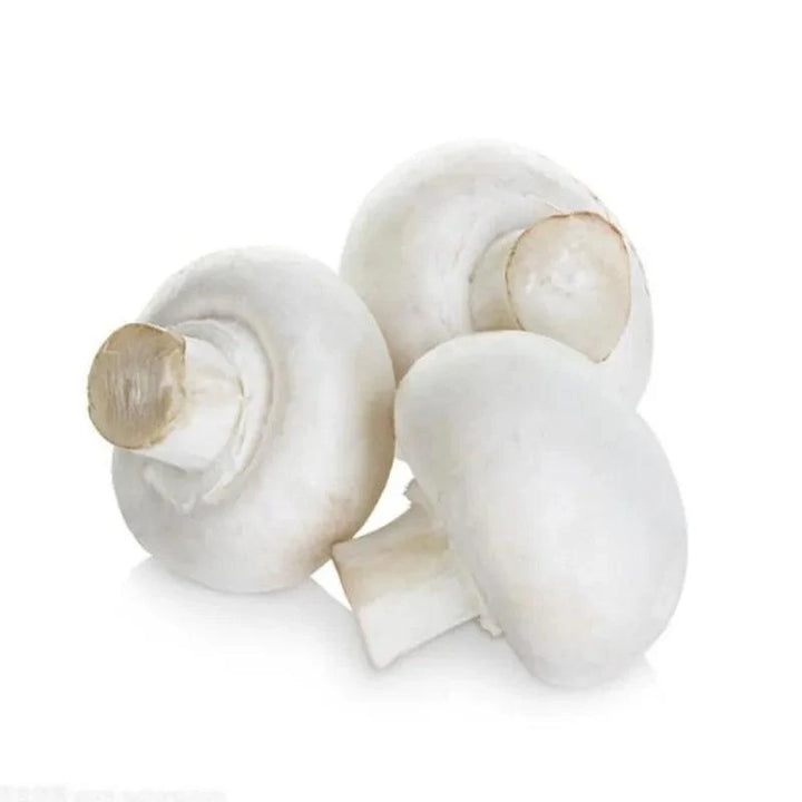 Lisslune | Charming Synthetic Mushroom Decor Collection - 6 Life-like Models for Home and Photography Enhancement