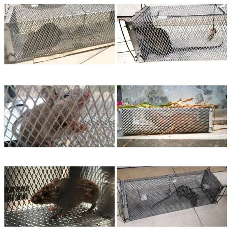 Lisslune | Revolutionary Human Mouse Catching System - Efficient Pest Control for Home and Kitchen