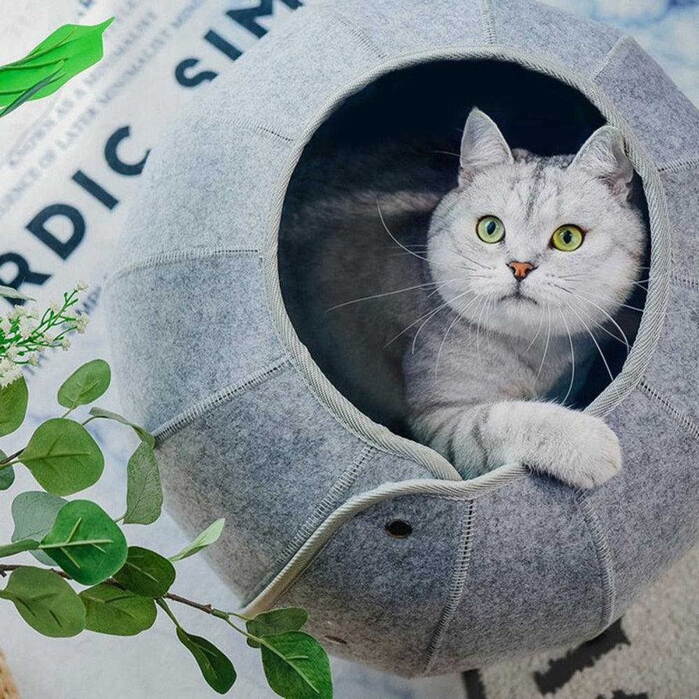 Lisslune | Cozy Conch Cat Shelter & Multifunctional Play Tunnel: The Perfect Escape for Your Friendly Cat