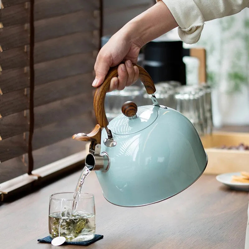 Lisslune | 1 piece 2.5/3 l liter kettle made of stainless steel, thickened kettle, gas induction stove, universal kettle, kettle