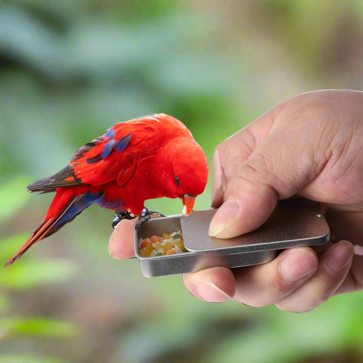 Lisslune | Smart Iron Parrot Training Food Container - Compact Cognitive Enhancement Container