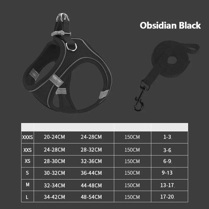 Lisslune | Reflective Adjustable Pet Harness and Leash Set - Breathable Vest for Small to Medium Dogs and Cats