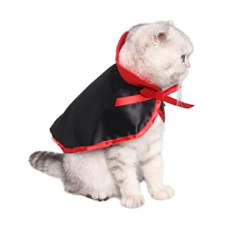 Lisslune | Cat Halloween costume