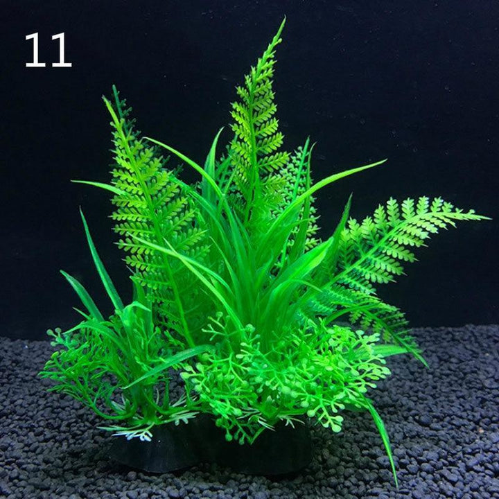 Lisslune | Aquatic Paradise: 12 Unique Plant Varieties for Lively Aquarium Landscapes