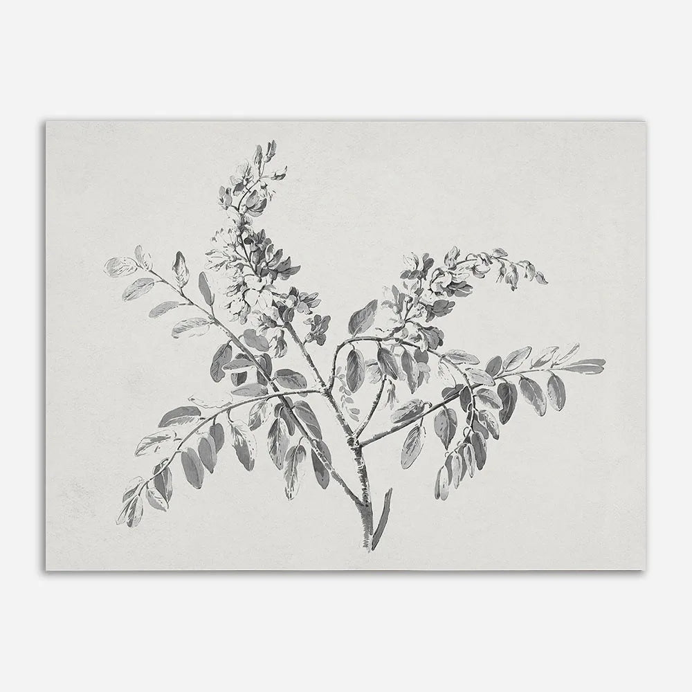 Lisslune | French Canvas Poster